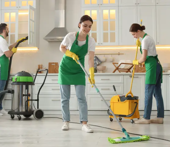 Home 7 house cleaning services